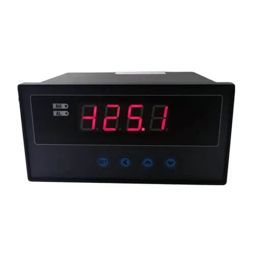 SCH9 经济型全信号输入单通道数显仪